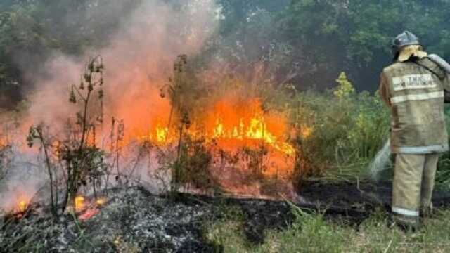 Лесной пожар в Домбае блокировал 40 автомобилей и оставил туристов и спасателей в ловушке